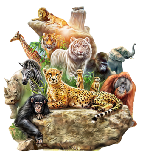Dog Tiger Lion Animal Forest, Animals meeting