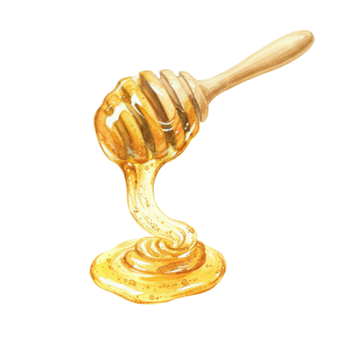honey dipper watercolor, golden drizzle